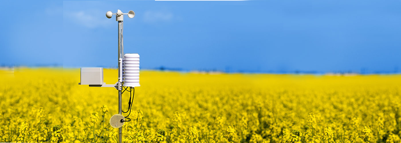 crop field under blue sky