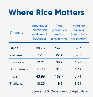 Resolving the Rice Dilemma | Corteva Agriscience